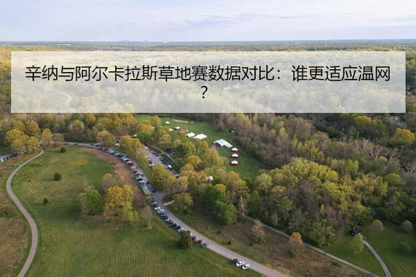 xin-na-yu-a-er-ka-la-si-cao-di-sai-shu-ju-dui-bi-shui-geng-shi-ying-wen-wang-2-347.jpg