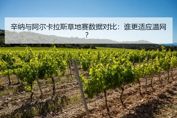 辛纳与阿尔卡拉斯草地赛数据对比：谁更适应温网？